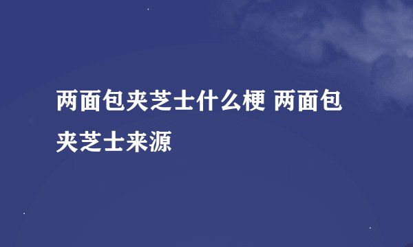 两面包夹芝士什么梗 两面包夹芝士来源