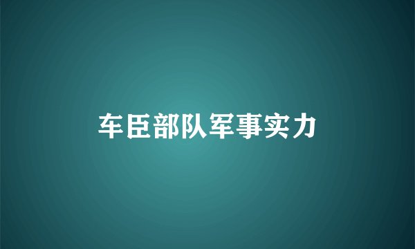 车臣部队军事实力