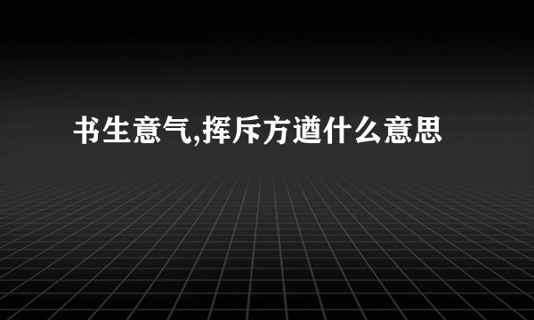 书生意气,挥斥方遒什么意思