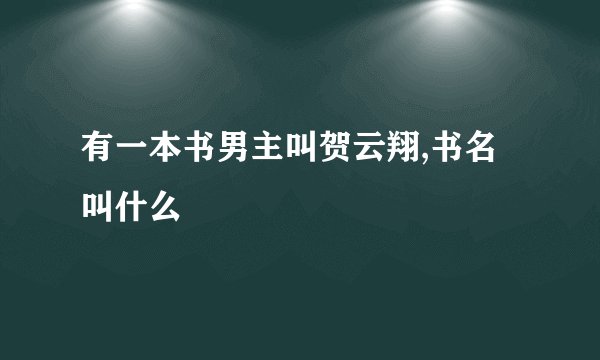 有一本书男主叫贺云翔,书名叫什么