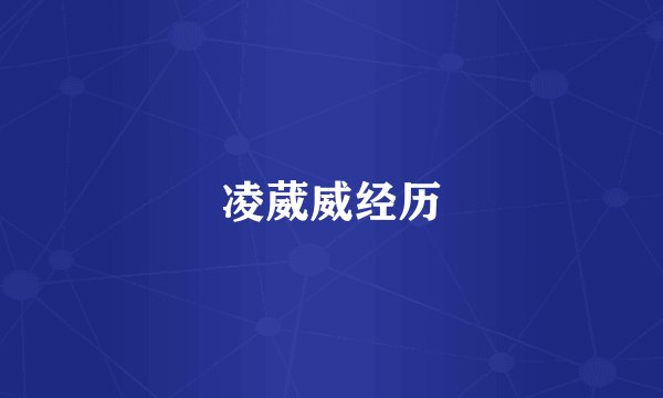 凌葳威经历