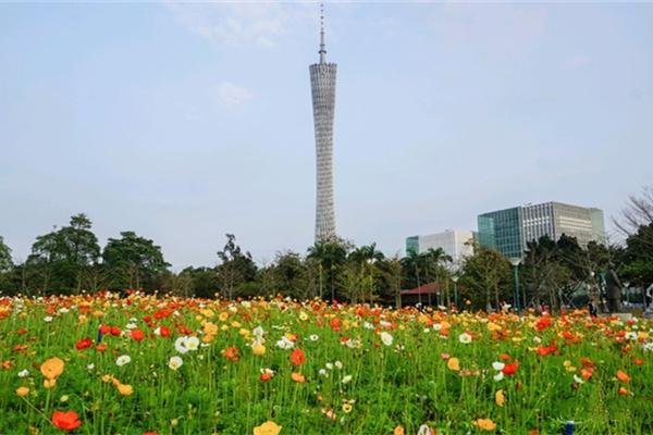 广州宏城公园游玩攻略