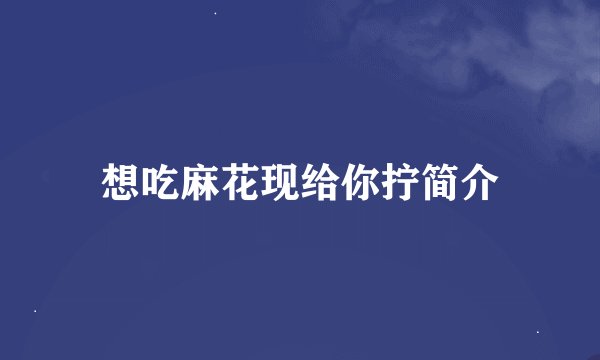 想吃麻花现给你拧简介