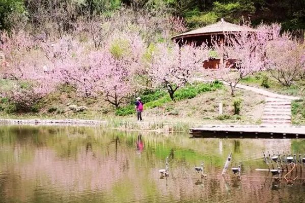 桃花尽日随流水,洞在清溪何处边是什么意思