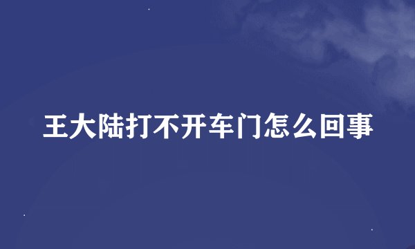 王大陆打不开车门怎么回事