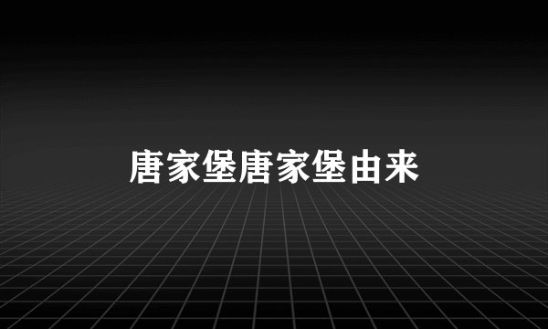 唐家堡唐家堡由来