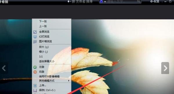 如何使用可牛看图的上一张功能？