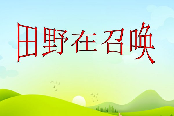 田野在召唤是什么民歌