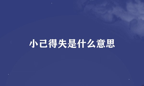 小己得失是什么意思