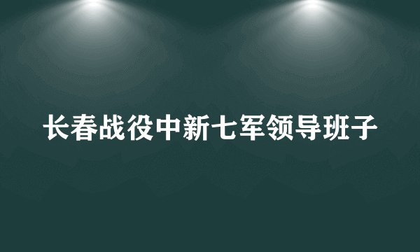 长春战役中新七军领导班子