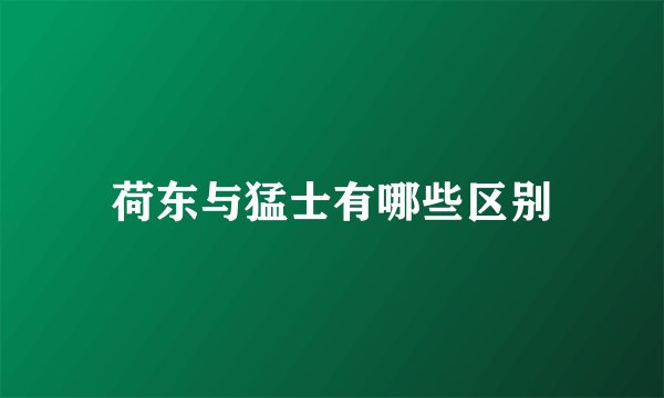 荷东与猛士有哪些区别