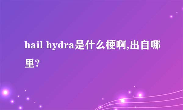 hail hydra是什么梗啊,出自哪里?
