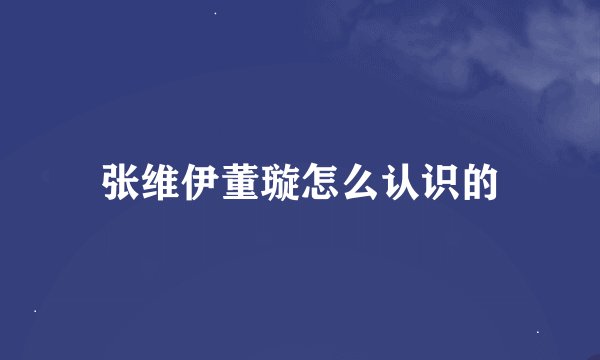 张维伊董璇怎么认识的