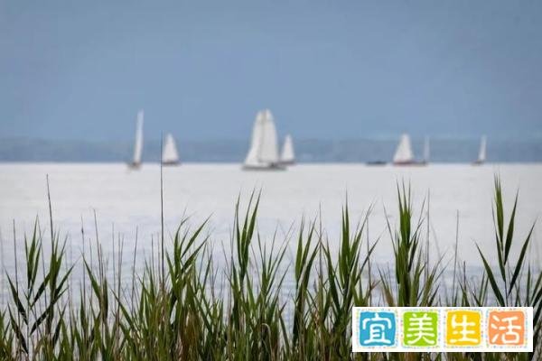 李宗盛也说：当你发现时间是贼了，它早已偷光你的选择