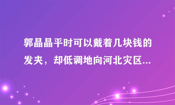 郭晶晶平时可以戴着几块钱的发夹，却低调地向河北灾区捐款7000万啊！