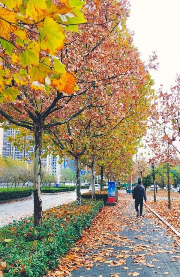我在马路边捡到一元钱