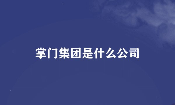 掌门集团是什么公司