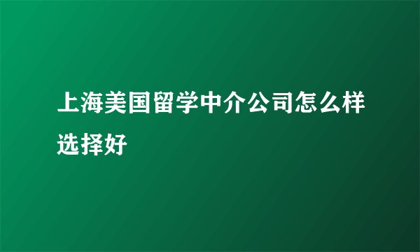 上海美国留学中介公司怎么样选择好
