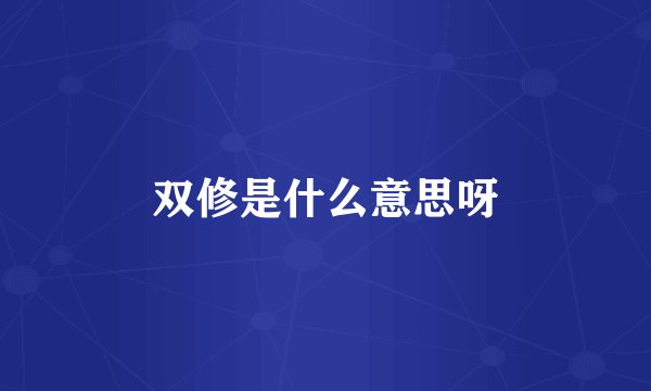 双修是什么意思呀