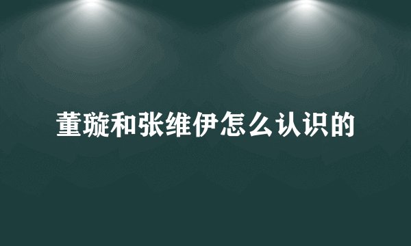 董璇和张维伊怎么认识的