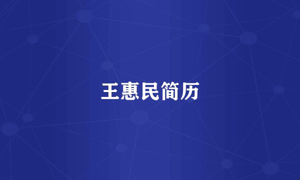 王惠民简历