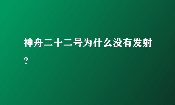 神舟二十二号为什么没有发射？