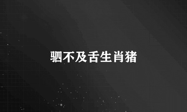 驷不及舌生肖猪