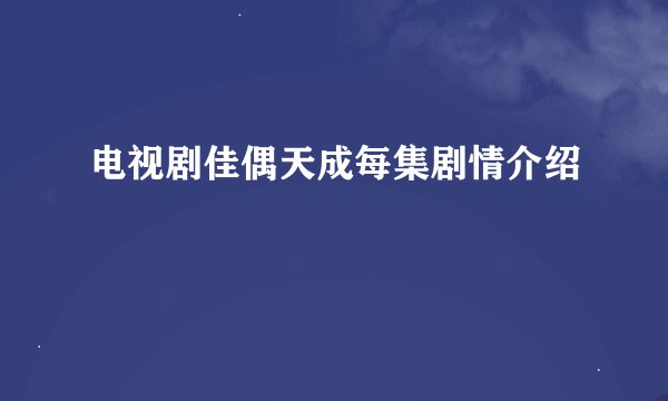 电视剧佳偶天成每集剧情介绍