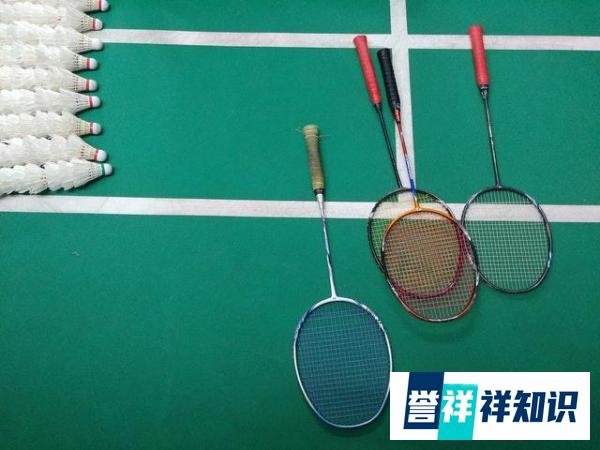 陈清晨被疑奥运比赛时爆粗口,68.41%的受访者认为在比赛时大声喊叫是常规操作