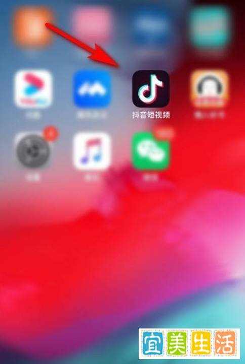 抖音修改名字应该怎么设置