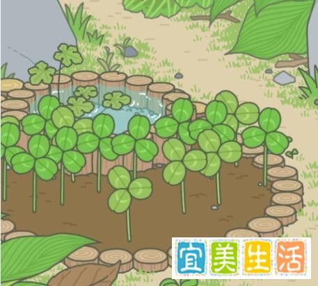 青蛙旅行家攻略
