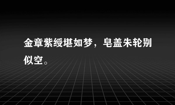 金章紫绶堪如梦，皂盖朱轮别似空。