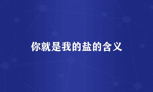 你就是我的盐的含义