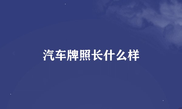 汽车牌照长什么样