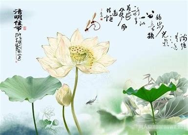 清明节谚语10句