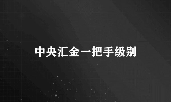 中央汇金一把手级别