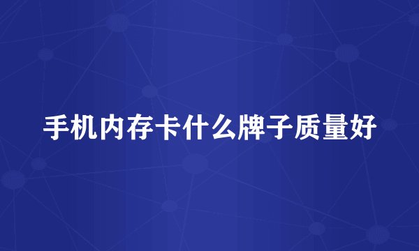 手机内存卡什么牌子质量好
