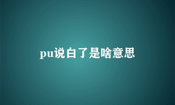 pu说白了是啥意思