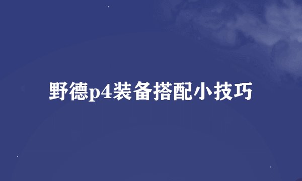 野德p4装备搭配小技巧