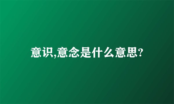 意识,意念是什么意思?