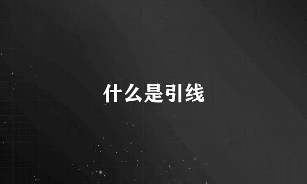 什么是引线