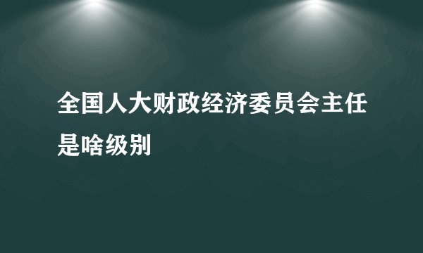 全国人大财政经济委员会主任是啥级别