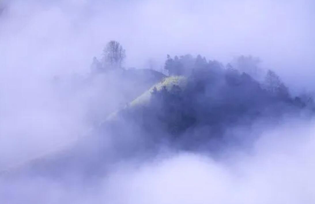 mist是什么意思