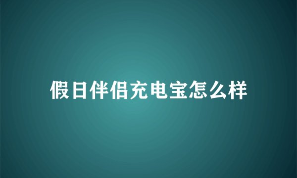 假日伴侣充电宝怎么样