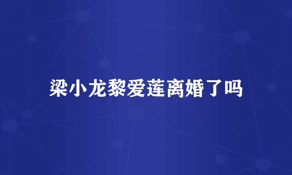 梁小龙黎爱莲离婚了吗
