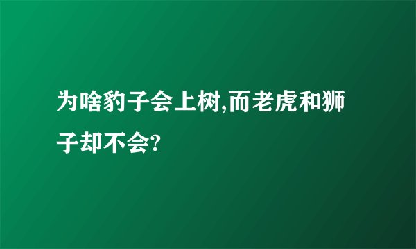 为啥豹子会上树,而老虎和狮子却不会?