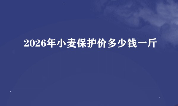 2026年小麦保护价多少钱一斤