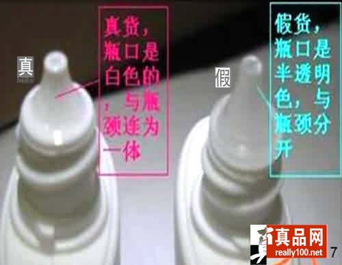 近江兄弟的基本简介