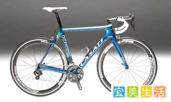 2025全世界最顶级自行车品牌排行榜前十名福伦王土拨鼠公路车