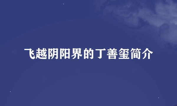 飞越阴阳界的丁善玺简介